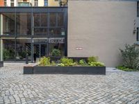 an empty parking lot with plants in the ground and on the side of the building, there is an enclosed area and windows