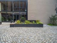 an empty parking lot with plants in the ground and on the side of the building, there is an enclosed area and windows