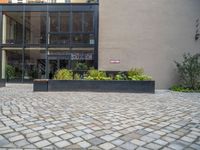 an empty parking lot with plants in the ground and on the side of the building, there is an enclosed area and windows