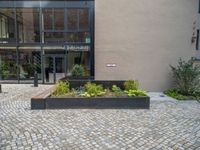 an empty parking lot with plants in the ground and on the side of the building, there is an enclosed area and windows