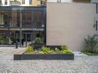 an empty parking lot with plants in the ground and on the side of the building, there is an enclosed area and windows