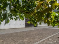 Urban Settings in Germany: Concrete Walls and Gravel Surfaces