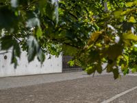 Urban Settings in Germany: Concrete Walls and Gravel Surfaces