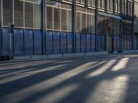 the sunlight reflects from several windows in a large building onto the street from outside the building