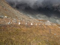 Grass Covered Highland Slope in Europe