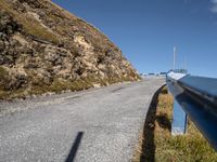 Nature in Europe: Grassy Road on a Sunny Day