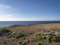 view from top of a hill looking at the ocean and rocks under a clear sky