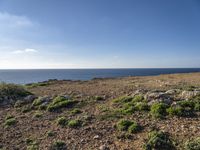 view from top of a hill looking at the ocean and rocks under a clear sky