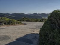 an empty, dirt road stretches to hills and a lake below the roadway leading in between the piney trees