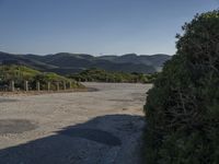 an empty, dirt road stretches to hills and a lake below the roadway leading in between the piney trees