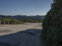 an empty, dirt road stretches to hills and a lake below the roadway leading in between the piney trees