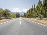 Europe Highland Tree-Lined Road