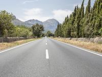 Europe Highland Tree-Lined Road