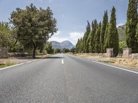 Europe Highland Tree-Lined Road