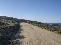 a sandy and dry road on the side of the beach is empty, with plants and shrubs in front