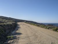 a sandy and dry road on the side of the beach is empty, with plants and shrubs in front