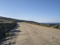 a sandy and dry road on the side of the beach is empty, with plants and shrubs in front