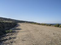 a sandy and dry road on the side of the beach is empty, with plants and shrubs in front