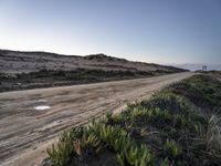 a dirt road that is covered with mud and grass near the ocean water on a clear day