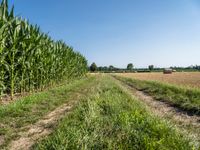 European Landscape: Clear Sky Over Rural Agriculture