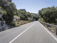 an empty highway in the mountains with pine trees surrounding it and rocky walls around it