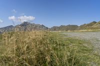 grass in the foreground and a mountain range with mountains behind it in the distance