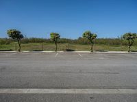 European Parking Lot: Daylight Gleaming on Asphalt