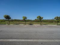 European Parking Lot: Daylight Gleaming on Asphalt