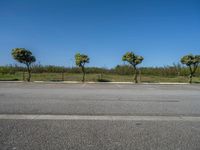 European Parking Lot: Daylight Gleaming on Asphalt