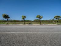 European Parking Lot: Daylight Gleaming on Asphalt