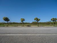 European Parking Lot: Daylight Gleaming on Asphalt