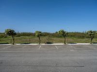 European Parking Lot: Daylight Gleaming on Asphalt