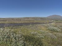 European Plain: Abundant Vegetation and Grassy Slopes