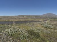 European Plain: Abundant Vegetation and Grassy Slopes