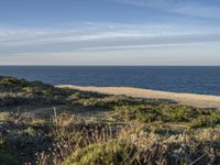 the ocean is empty of people on the beach by the sand path near the shore