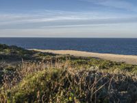 the ocean is empty of people on the beach by the sand path near the shore