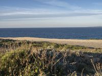 the ocean is empty of people on the beach by the sand path near the shore