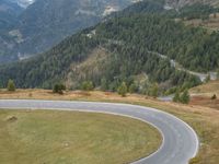 a lone motorcycle on a winding mountain road surrounded by green trees and pine trees in the distance