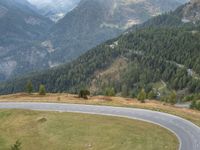 a lone motorcycle on a winding mountain road surrounded by green trees and pine trees in the distance