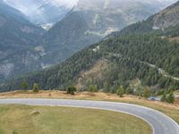 a lone motorcycle on a winding mountain road surrounded by green trees and pine trees in the distance