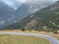 a lone motorcycle on a winding mountain road surrounded by green trees and pine trees in the distance