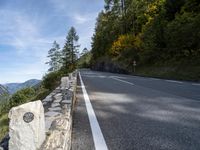 Scenic Road in Europe: Surrounded by Trees and Nature