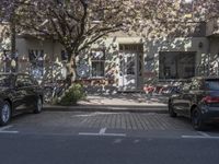 a parking spot with parked cars and flowering trees in blooming trees near the entrance of an apartment