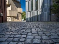 cobblestone driveway surrounded by modern buildings on sunny day with sun reflecting onto the windows