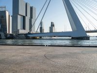 the cyclist is sitting by the side of the river under the bridge, with buildings in the background