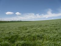 a field of grass that has some wind farms in the background with some clouds