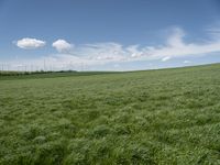 a field of grass that has some wind farms in the background with some clouds