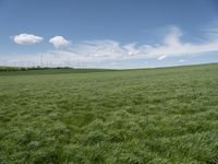 a field of grass that has some wind farms in the background with some clouds