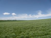 a field of grass that has some wind farms in the background with some clouds