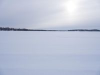 this is a wide open area, with snow on the ground and trees in the distance